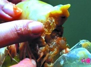 天津注胶虾图片